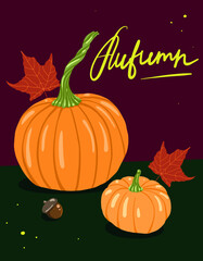 This is the autumn harvest of pumpkins and with leaves and acorns