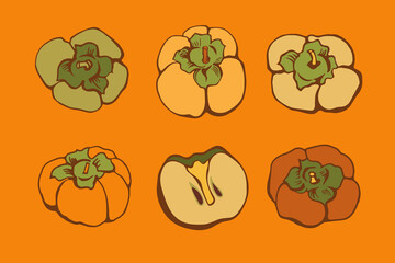 Vector set with persimmon on color background. Flat style. Illustration for wrapping paper, post cards, prints for clothes, and emblems. 