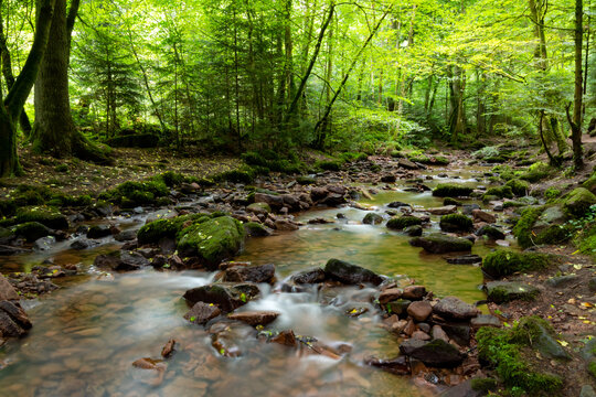 Bach Bad Liebenzell Monbach Schlucht Baden-W&uuml;rttemberg Deutschland Canyon Idyll Naturschutzgebiet Wald Bach flie&szlig;en Str&ouml;mung Steine Schwarzwald Pforzheim Calw Sommer Regen Wanderung Langzeitbelichtung