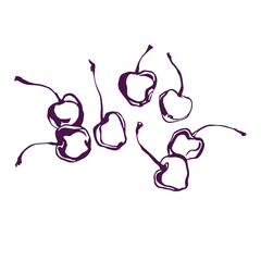 Sketch of berries on a white background. vector illustration.