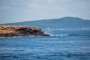 Rocks in the Sea off the Coast of Maine