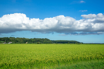 田園風景
