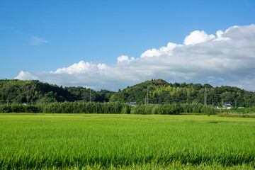 田園風景