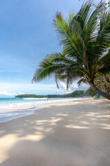 Beautiful kata beach in the bright day with coconut tree under the shade after COVID-19