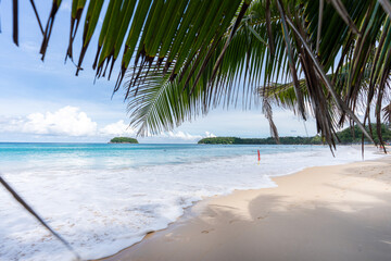 Beautiful kata beach in the bright day under the coconut tree shade. Kata Beach , Phuket , Thailand after COVID-19