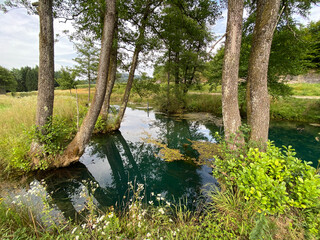 Fototapeta na wymiar Bistrac spring or the water source of the Bistrac stream in Desmerice - Ogulin, Croatia (Izvor vode Bistrac ili vrelo potoka Bistrac u Desmericama - Ogulin, Hrvatska)