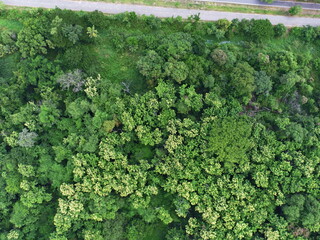 Aerial drone view of country road between green forest 