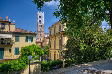 Fototapeta na wymiar Il campanile del duomo di Lucca visto dalle mura