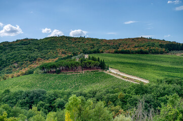 Obraz premium Paesaggio estivo nel Chianti, nei pressi di Castellina in Chianti