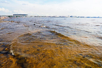 Gulf of Finland, the beach of the park of the 300th anniversary of St. Petersburg, Russia