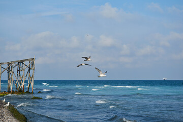 Landscape from Tuzla with the Black Sea, sand and rocks