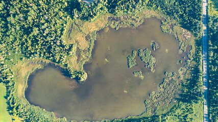 Aerial view of a lake in the forest from drone