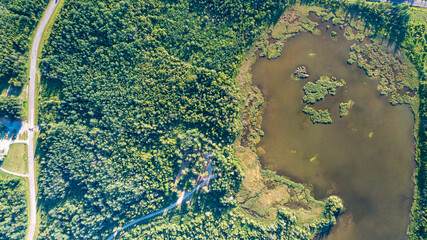 Aerial view of a lake in the forest from drone