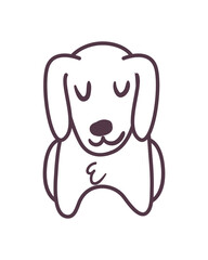 pet dog with ears down