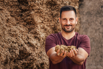 Adult man, giving a sample of his wheat.