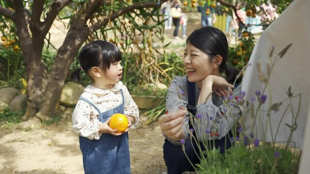 Cheerful Asian Mother In Matching Outfit Squatting Near Flowers And Talking To Her Cute Toddler Daughter With A Flower While Playing In The Park On A Sunny Day 