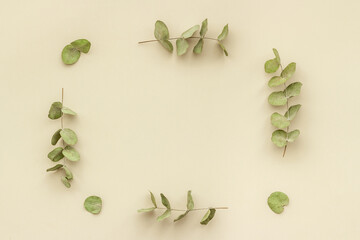 Eucalyptus leaves and branches pattern flat lay