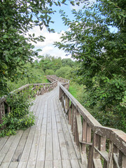 Frame made of trees ecological wooden trail in a public park.