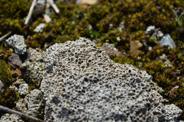 Close up of pumice stone, pumice stone next to moss, clear day, clear texture of stones 