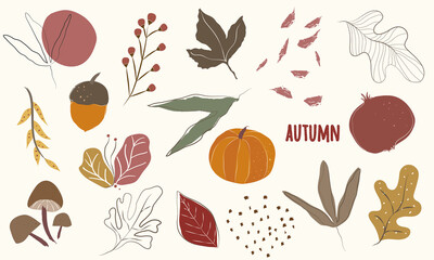 Elegant collection of fall season objects with leaves, pumpkin, mushroom, acorn, flowers, maple leaf, branches, abstract shapes and textured autumn text. Vectorized, flat style, muted colors. 