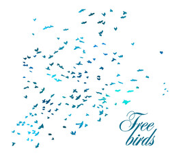A flock of blue birds. Vector illustration