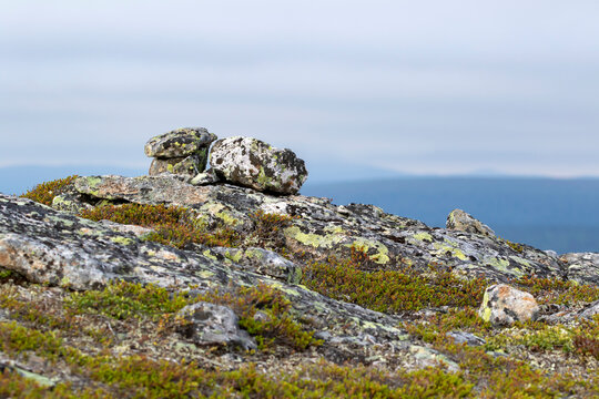 Stony landscape covered with mosses, lichen and shrubs in UKK National Park at Kiilopää, Northern Finland