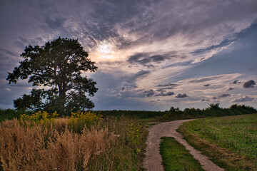 Feldweg im Abendlicht