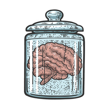 human brain in jar of formalin color sketch engraving vector illustration. T-shirt apparel print design. Scratch board imitation. Black and white hand drawn image.