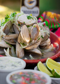 plate of boiled and seasoned clams, typical dish of brazil