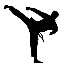 Silhouette Of Martial Arts Fighter