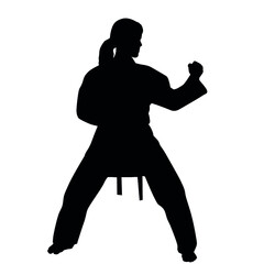 Silhouette Of Martial Arts Fighter