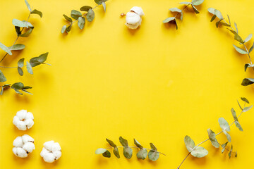 Plant branches frame with eucalyptus leaves and cotton flowers