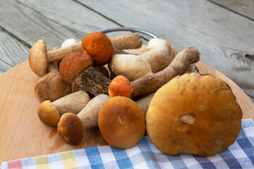 A bunch of mushrooms. Porcini mushrooms lie on a cutting board. Edible mushrooms on a wooden background.