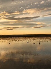 sunset over the lake