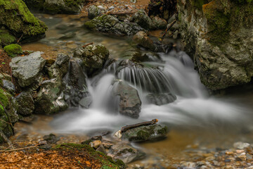 Fototapeta na wymiar Hrdzavy creek in summer morning in Hrdzava valley in Slovakia