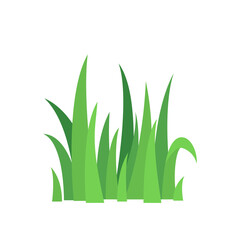 Vector grass. 3D illustration of grass isolated on white background. Leaves of grass.