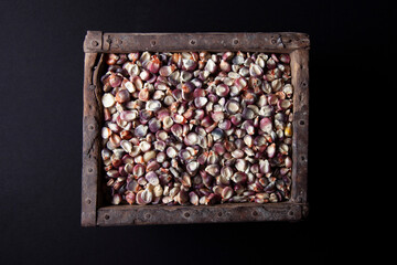 organic purple corn in a wooden box. traditional mexican maize