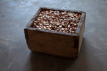 organic purple corn in a wooden box. traditional mexican maize