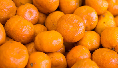 apetitic juicy farm mandarins at market counter