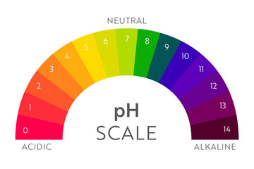 pH Value scale chart. Acid-base balance infographic. Education Poster - obrazy, fototapety, plakaty