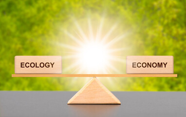 ecology and economy in balance