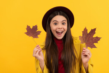 teen girl in hat hold autumn leaf. amazed child having fun with maple leaf on yellow background.