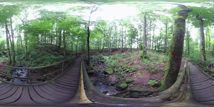 Holzsteg in der Kaskadenschlucht, 360 Grad Video