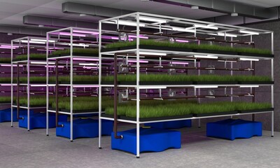 Vertical farming with hydroponics on a modern farm. Organic green plants are grown in a hydroponic system. 3d illustration.