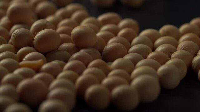 Fresh soybeans on dark background