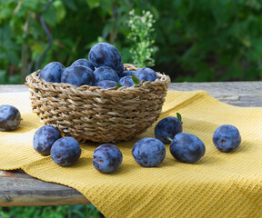 Freshly picked organic ripe delicious blue plums on the old wooden background, selective focus. Blurred background.