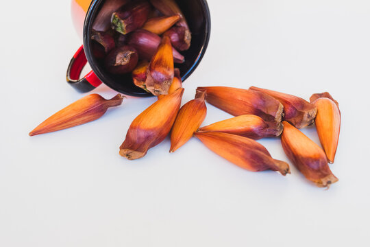 Red metal mug with pine nuts inside. White background.