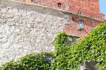 brick wall with lantern and wall overgrown by thick ivy leaves in the city, city architecture