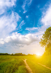 Beautiful summer panorama landscape. Countryside with road on the field, green grass, trees and dramatic blue sky with fluffy clouds.
