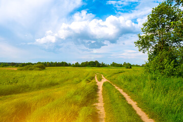 Beautiful summer landscape. Countryside with road on the field, green grass, trees and dramatic blue sky with fluffy clouds.